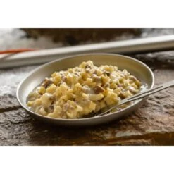 Mountain House Beef Stroganoff Adventure Meal -Outdoor Camping Store mountain house beef stroganoff adventure meal lifestyle 1